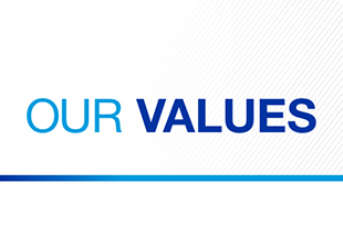 our values image