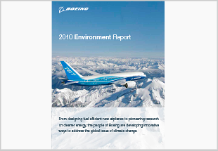 2010 Environment Report