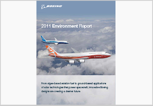 2011 Environment Report
